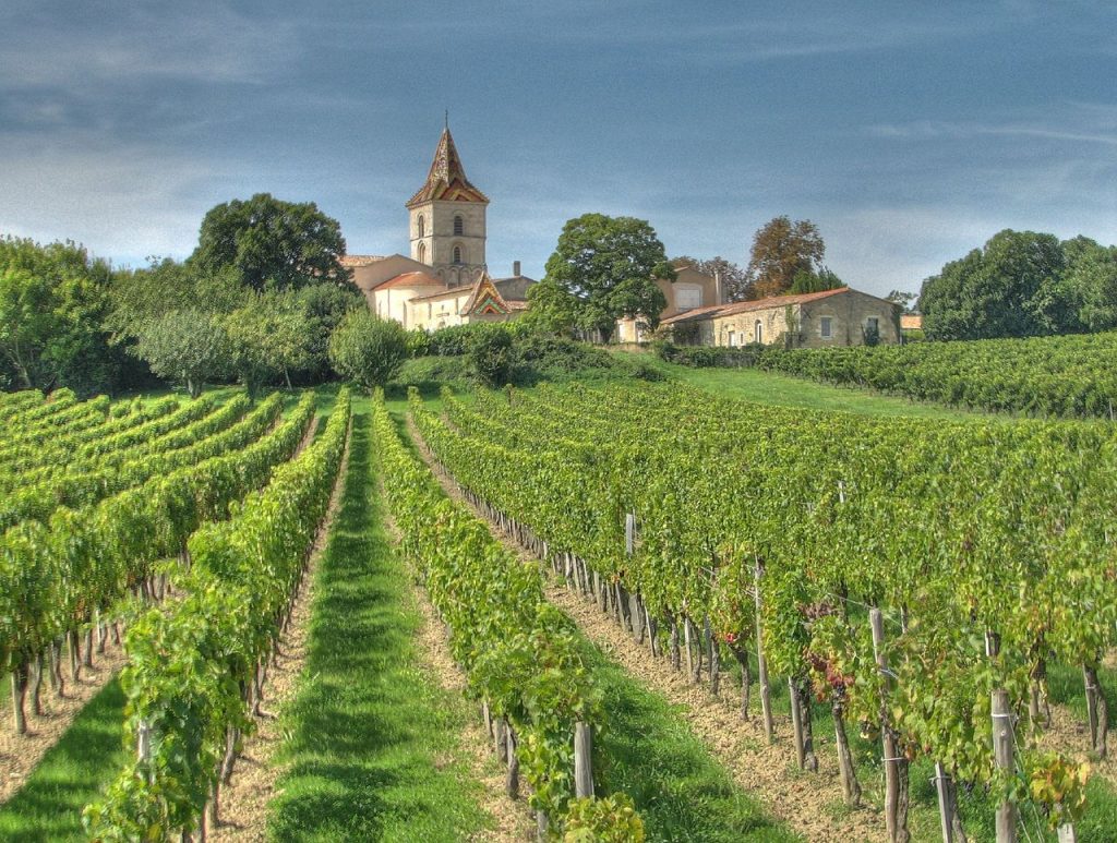 Best Wine Regions in France